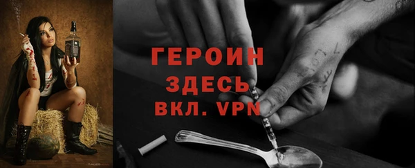 индика Краснослободск