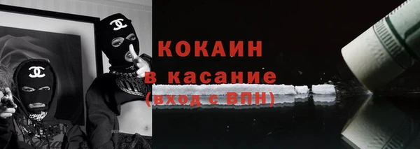 стафф Ельня