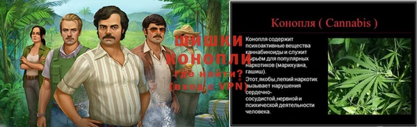 ECSTASY Дмитров